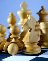 Pferd beim Schach